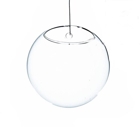 Vista 7 in Dia Clear HalfRound Wall Hanging Terrarium  Vase VI1847249